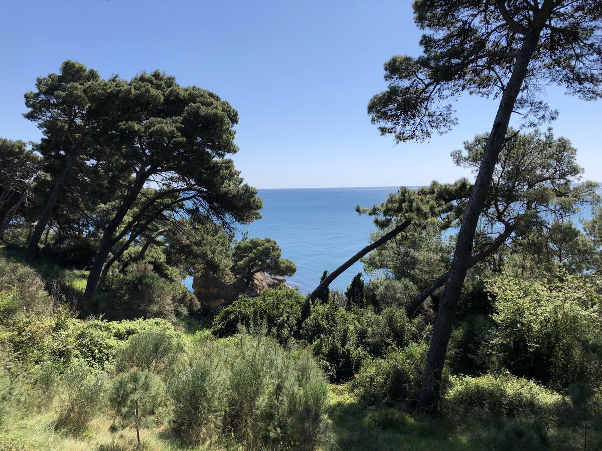 Long Beach Apartment Ulcinj Eksteriør billede